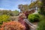 252 Masterton Stronvar Road, Te Ore Ore, Masterton - Carousel 36