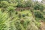 2 Hillside Terrace, Saint Johns Hill, Whanganui - Carousel 31