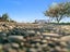 660P Cathedral Road, Domett, Cheviot - Carousel 15