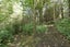 13 Okuti Valley Road, LITTLE RIVER, Little River - Carousel 16