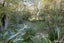 9 Woodstock Terrace, Tawa, Wellington - Carousel 20