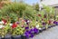 81 Dunbarton Street, Redwood, Christchurch - Carousel 28