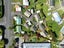 28 Insoll Avenue, Enderley, Hamilton - Carousel 20