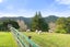 449 State Highway 1, Dome Forest, Warkworth - Carousel 21