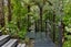 37 Frederick Street, Hillsborough, Auckland - Carousel 16