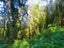 207 Tanglefern Row, Virgin Flat, Cape Foulwind - Carousel 12