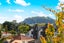 12/495 Manukau Road, Epsom, Auckland - Carousel 2