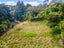 250A Beach Road, Campbells Bay, Auckland - Carousel 14