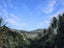67A Pembroke Road, Northland, Wellington, Wellington - Carousel 6