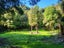 0 State Highway 6, Barrytown, Greymouth - Carousel 2