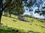 732 Waiare Road, Okaihau, Okaihau - Carousel 16