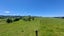 0 Hukerenui Road, Hukerenui, Hikurangi - Carousel 20