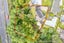 1102 River Road, Flagstaff, Hamilton - Carousel 48
