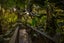 39 West Lynn Road, Titirangi, Auckland - Carousel 32