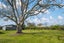 23 Battys Road, Yelverton, Blenheim - Carousel 7