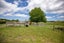 261 Parker Lane, Buckland - Carousel 5