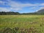 0 State Highway 6, Franz Josef/Waiau - Carousel 5