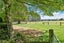 1805 Cust Road, Cust, Cust - Carousel 43