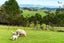171 Opanake Road, Parore, Dargaville - Carousel 22
