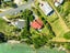 85 Ritchie Road, Whangarei - Carousel 27