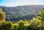 10 Edgeware Road, Wilton, Wellington - Carousel 25