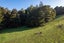 43 Waiariki Road, Whakapara, Hikurangi - Carousel 21