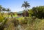 460 Matakana Road, Matakana, Rodney, Auckland - Carousel 9