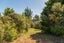57 Tarapatiki Drive, Whitianga, Thames-Coromandel, Waikato - Carousel 14