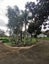 78 Park Lane, Runciman, Drury - Carousel 15