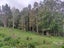 0 Peria Road, Peria, Kaitaia - Carousel 11