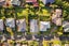 20 Longcroft Terrace, Newlands, Wellington - Carousel 20