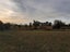 229 Balcairn Amberley Road, Amberley, Hurunui, Canterbury - Carousel 21