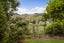 5 Thames Road, Paeroa, Hauraki, Waikato - Carousel 14