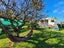 15 Driving Creek Road, Coromandel, Coromandel - Carousel 12