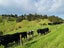 0 Mountfield Road, Waipu, Waipu - Carousel 8