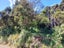 0 Backriver Road, Peria, Kaitaia - Carousel 4