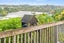 30 Rarere Terrace, Kerikeri, Kerikeri - Carousel 5