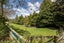 81 Taylor Road, Waimauku, Waimauku - Carousel 48