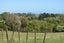 6 Honoiti Ranapiri Place, Manakau - Carousel 9