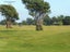 125 Golf Links Road, Ruatapu - Carousel 32