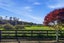 19 WAIOROI PLACE, Oropi, Western Bay Of Plenty, Bay Of Plenty - Carousel 17