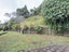 15 Cavalry Close, Crofton Downs, Wellington, Wellington - Carousel 30