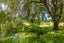 4 Smyth Road, Warkworth, Rodney, Auckland - Carousel 14