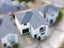 14E Kelwyn Road, Kelston, Auckland - Carousel 17