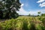 1512 Livingstone-Duntroon Road, Livingstone, Oamaru - Carousel 23
