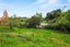 2 Rimu Street, Te Kuiti, Waitomo, Waikato - Carousel 10