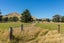 0 Seddon St, Ward, Seddon - Carousel 6