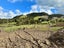 21C View Road, Hikurangi - Carousel 6