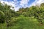 52 Kerikeri Inlet Road, Kerikeri, Kerikeri - Carousel 36