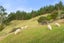 449 State Highway 1, Dome Forest, Warkworth - Carousel 27